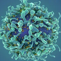 A revolutionary cancer treatment could transform autoimmune disease
