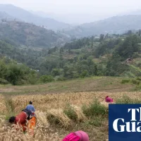 Free up fertiliser supplies to avert global food crisis, Yvette Cooper urges