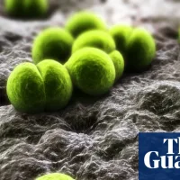 One dead and two more ill after meningitis outbreak in Berkshire