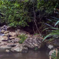 Waterway in Lamington National Park, 2020