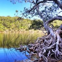 Fraser Island lake, 2016