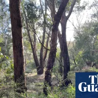 Developer withdraws plans for Perth datacentre after fierce community opposition