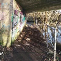 Teenage boys sentence for raping lone girls in Fordingbridge 'too lenient'