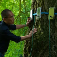 Can plants have consciousness? The film Silent Friend reimagines the science