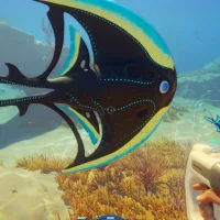 "We will probably get some flack": Subnautica 2 may feel polished for an early access game, but it was important for the team it launched unfinished