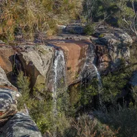 Darkes Forest in the Illawarra region of New South Wales, 2014