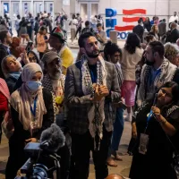 There are 50,000 words in the DNC autopsy. "Gaza" isn't one.