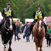 Soldier dies after falling from horse at Royal Windsor Horse Show