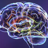 Brain reactions to fearful faces predict psychiatric hospitalization risk