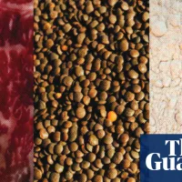 ‘People should aim to get a variety’: the pros and cons of popular protein sources